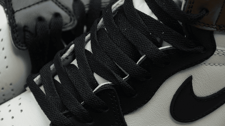 Jordan 1  high dark mocha 5