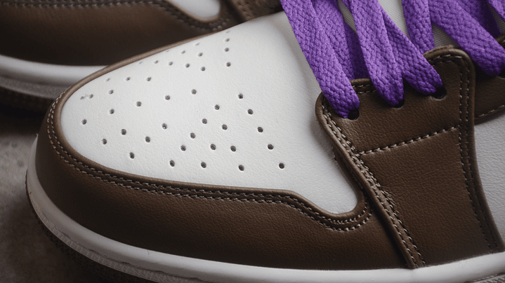 Jordan 1 low palomino 5