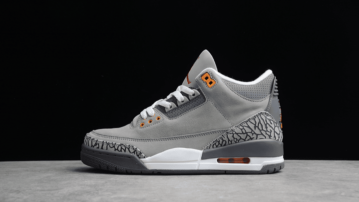 Jordan 3 Cool Grey 1