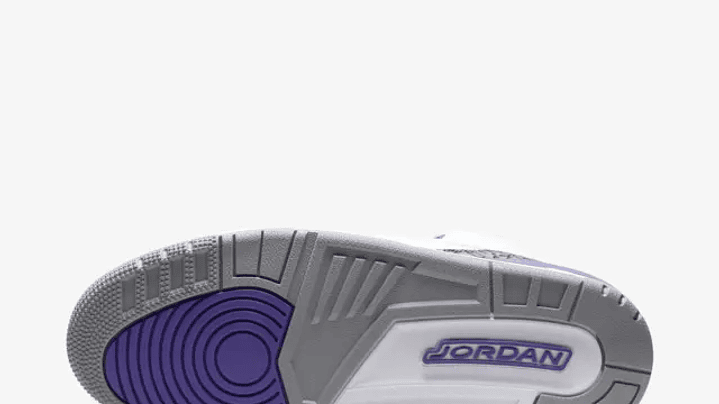 Jordan retro 3 dark iris 2