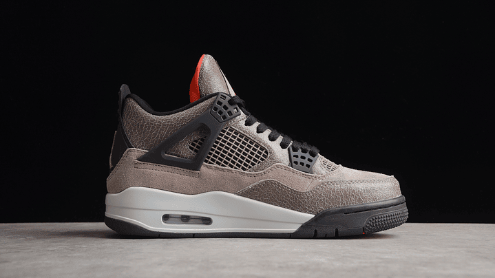 Jordan retro 4 Taupe Haze 2