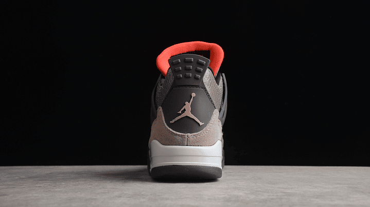Jordan retro 4 Taupe Haze 4