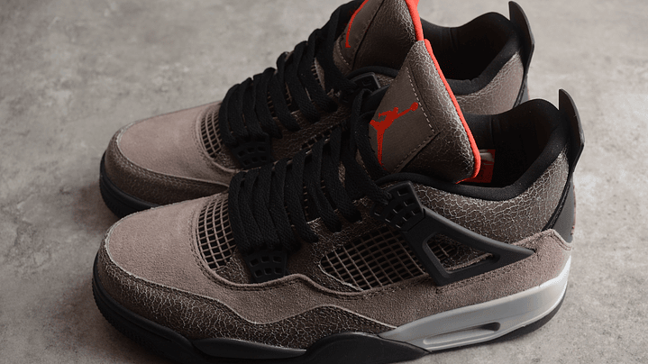 Jordan retro 4 Taupe Haze 5