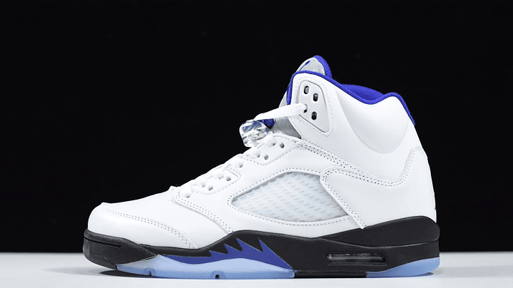 Jordan 5 concord 1