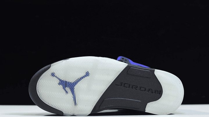 Jordan 5 alternate grape 3