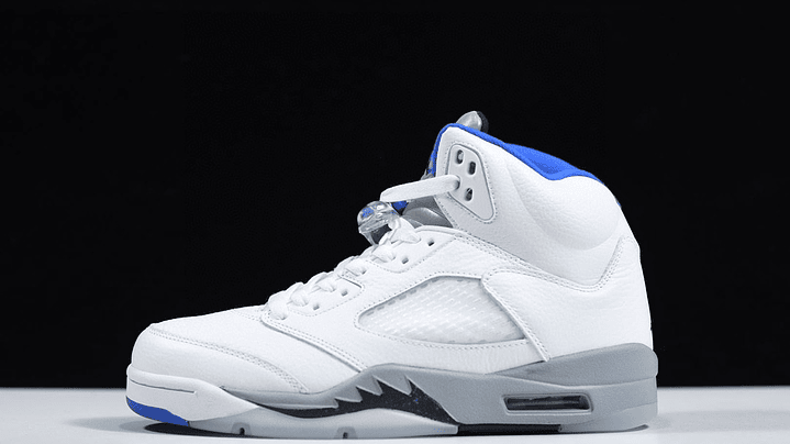 Jordan 5 white stealth 1