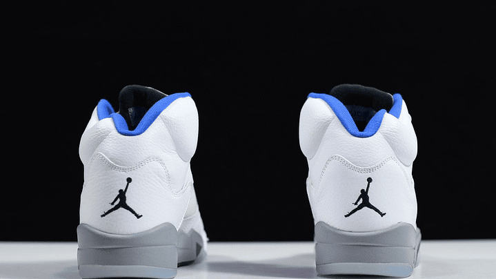 Jordan 5 white stealth 6