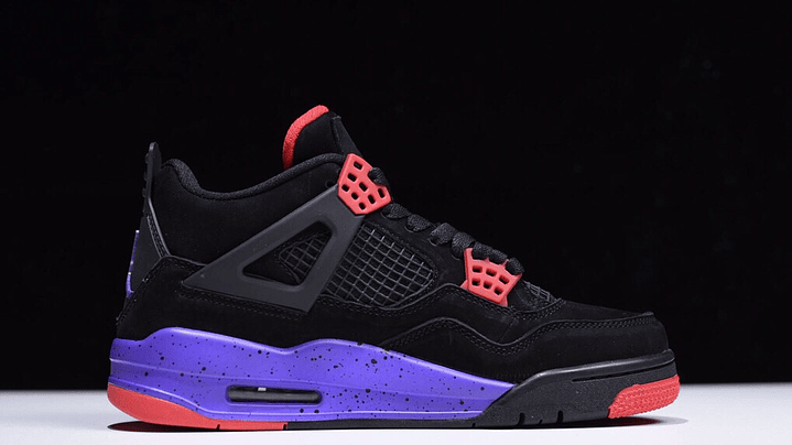 Jordan retro 4 raptors 2
