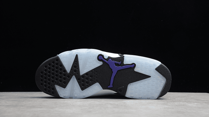 Jordan retro 6 flint 3
