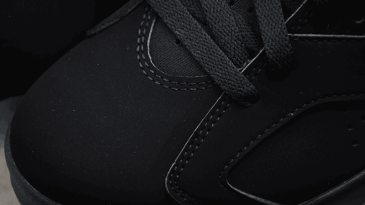 Jordan retro 6 dmp 6