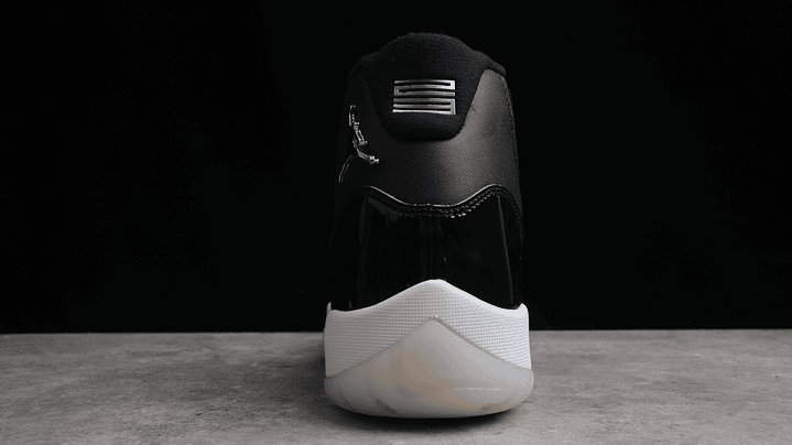 Jordan retro 11 25th anniversary 4