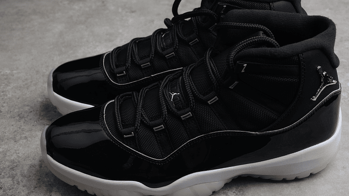 Jordan retro 11 25th anniversary 5