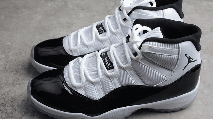 Jordan retro 11 concord 5