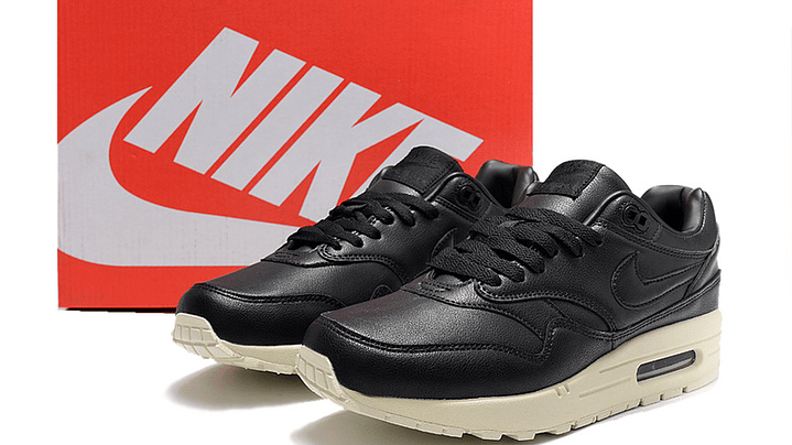 Air max 1 pinnacle 2