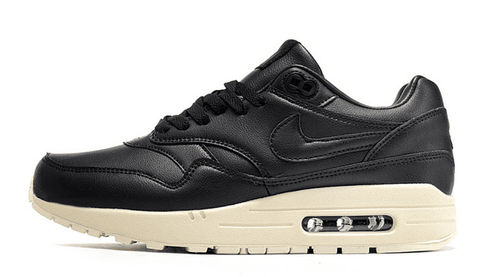 Air max 1 pinnacle 1