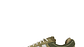 Adidas campus x bad bunny campus light olive - Miniatura 1