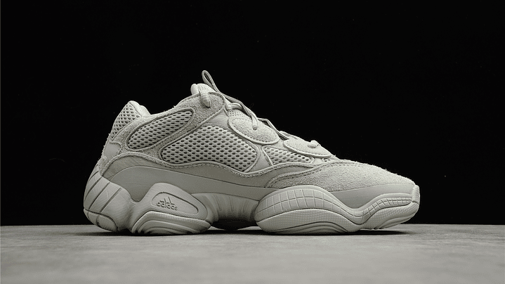 Yeezy 500 salt 2