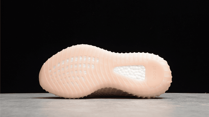 Yeezy boost 350 v2 synth 5