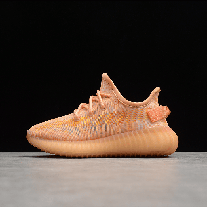 Yeezy boost 350 v2 mono clay 1