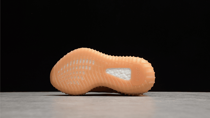 Yeezy boost 350 v2 mono clay 3
