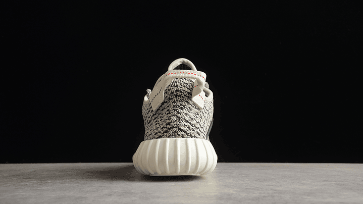 Yeezy boost 350 v2 turtle dove 4