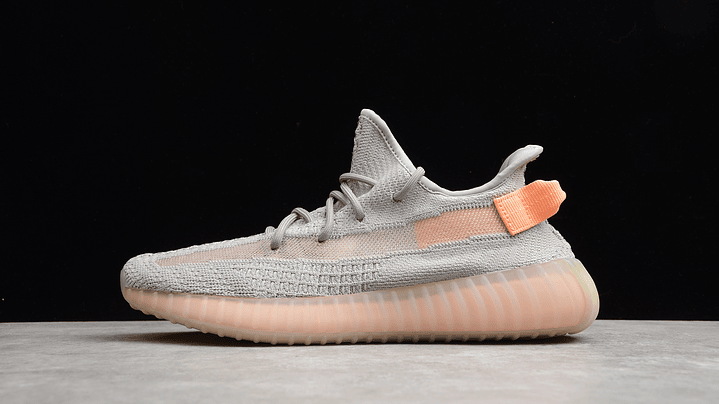 Yeezy boost 350 v2  true form 1