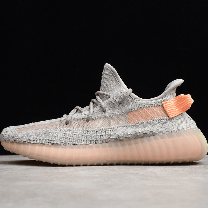 Yeezy boost 350 v2  true form 1