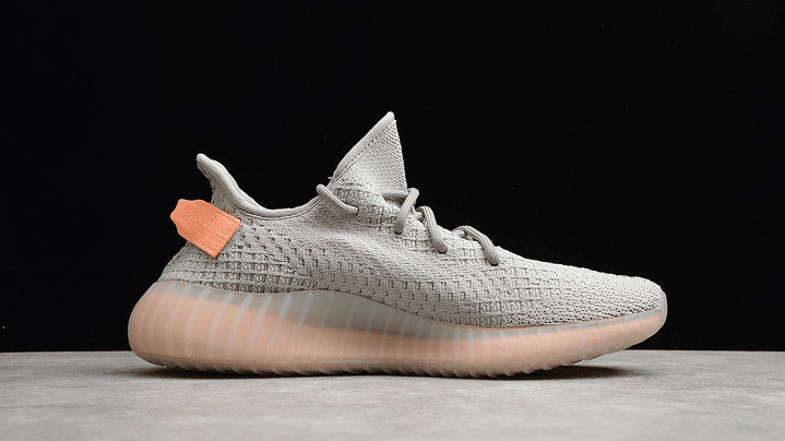 Yeezy boost 350 v2  true form 2