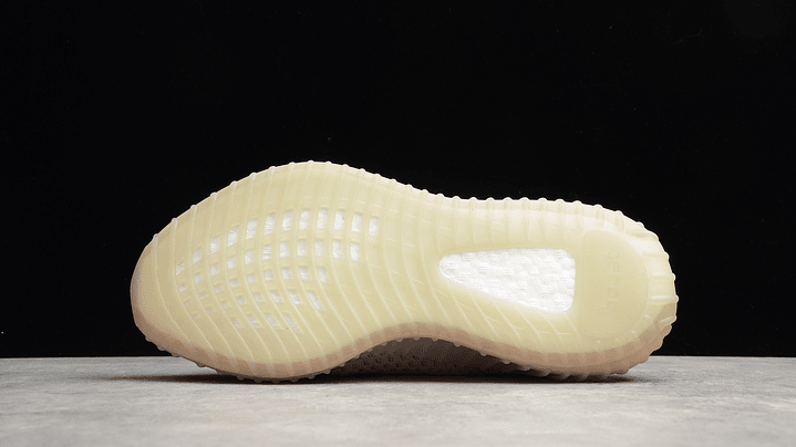 Yeezy boost 350 v2  true form 3