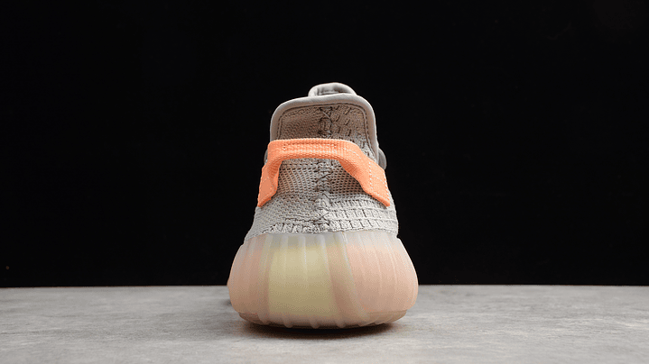 Yeezy boost 350 v2  true form 4