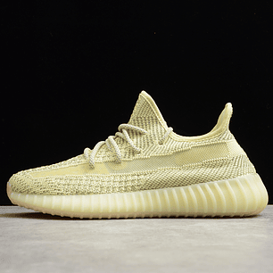 Yeezy boost 350 v2 antlia reflective