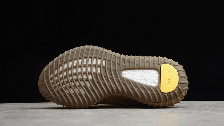 Yeezy boost 350 v2 earth 3