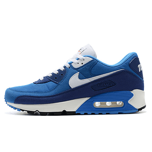 Air max 90 fantastic