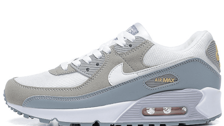 Air max 90 premium light grey 1