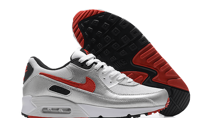 Air max 90 icons 6