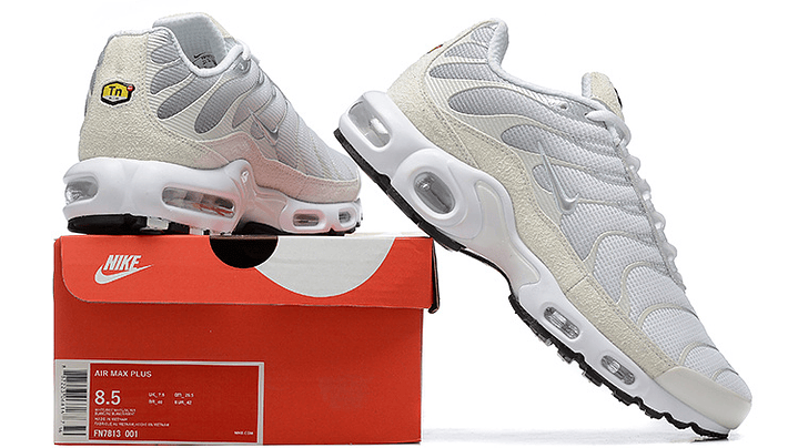 Air max plus TN pure platinum 6