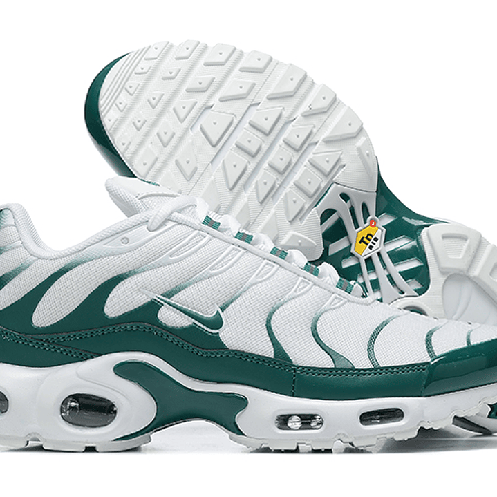 Air max plus TN x Lacoste 5