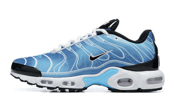 Air max plus TN first use blue black 1