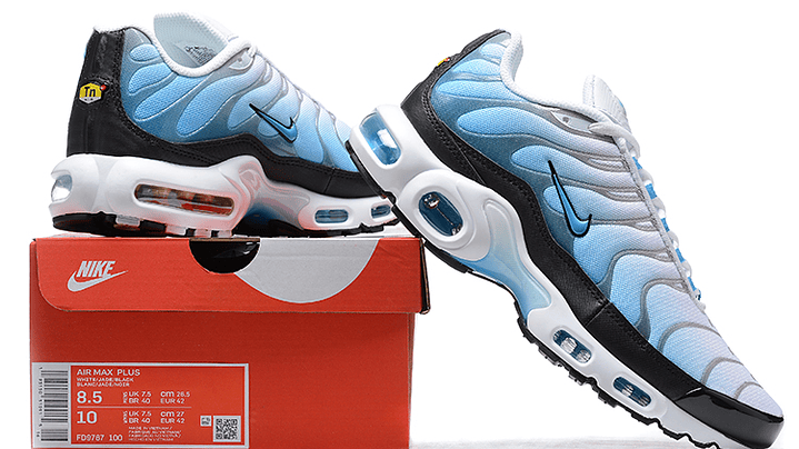 Air max plus TN blue gradient 6