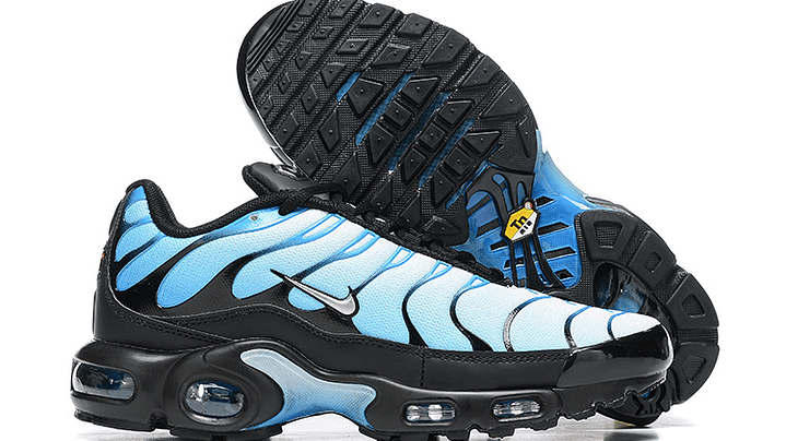 Air max plus TN blue gradient 4
