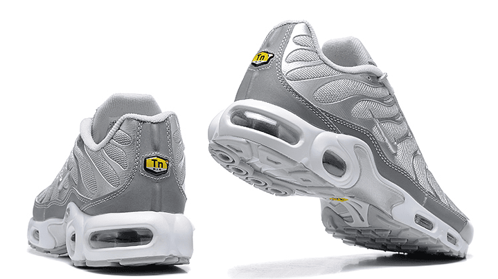 Air max plus TN metallic silver 5