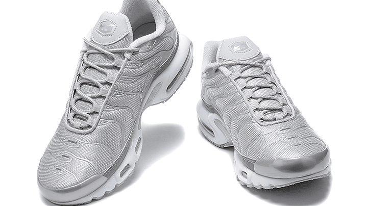 Air max plus TN metallic silver 2