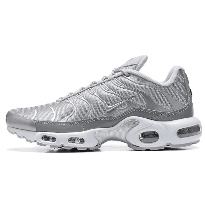 Air max plus TN metallic silver 1