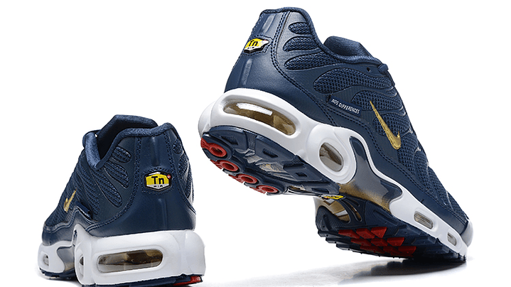 Air max plus TN french football 2