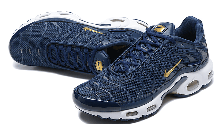 Air max plus TN french football 4