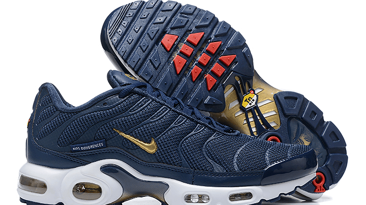 Air max plus TN french football 5
