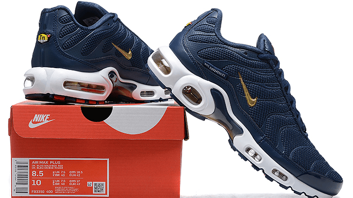 Air max plus TN french football 6