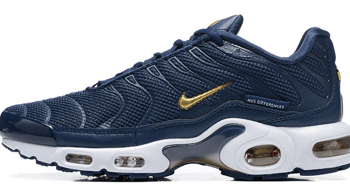 Air max plus TN french football 1