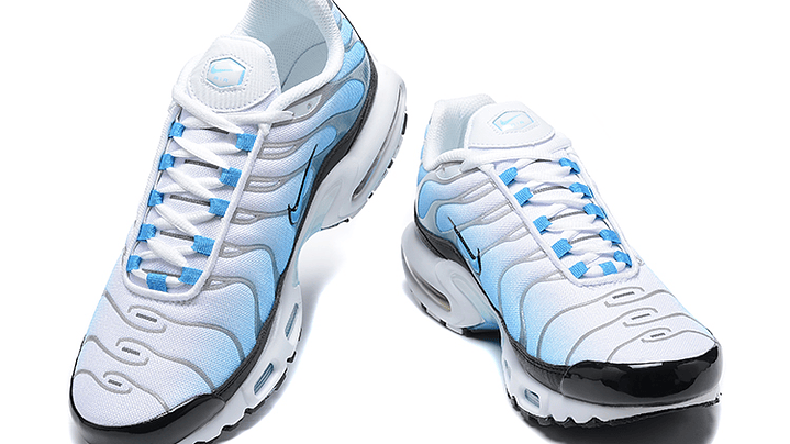 Air max plus TN baltic blue 2