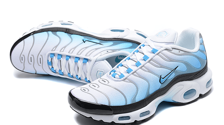 Air max plus TN baltic blue 3